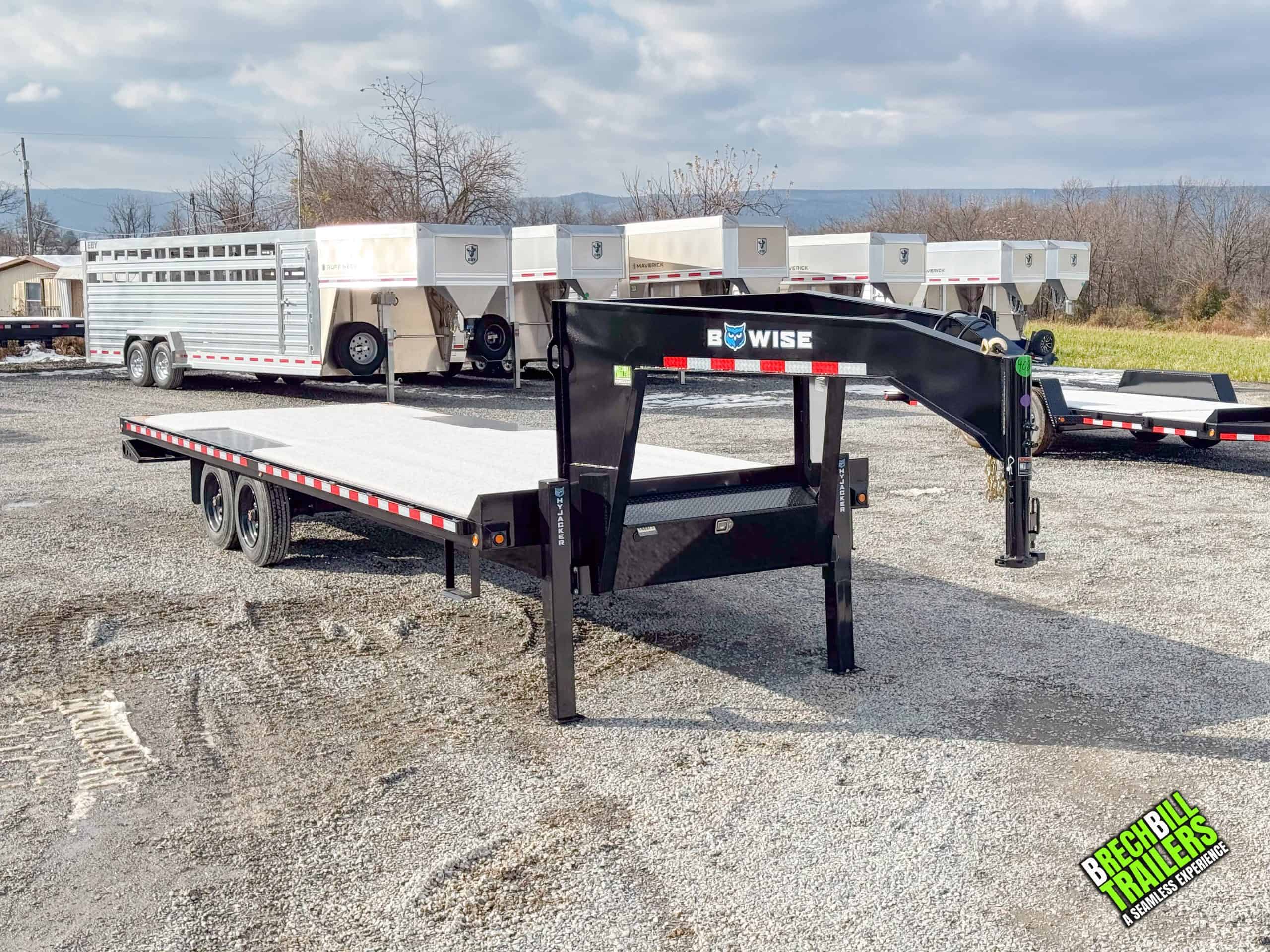 BWise THD